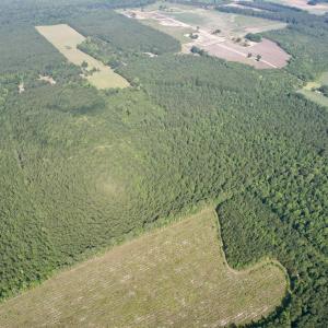 Photo #22 of 50.5 Acres Epps Rd., New Zion, SC 50.5 acres