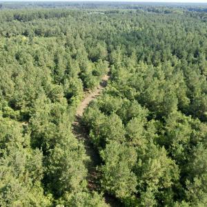 Photo #23 of 50.5 Acres Epps Rd., New Zion, SC 50.5 acres