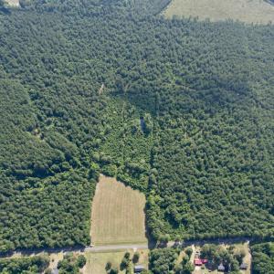 Photo #13 of 50.5 Acres Epps Rd., New Zion, SC 50.5 acres