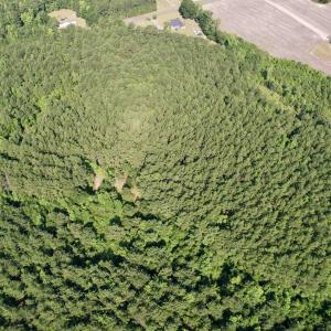 Photo #17 of 50.5 Acres Epps Rd., New Zion, SC 50.5 acres