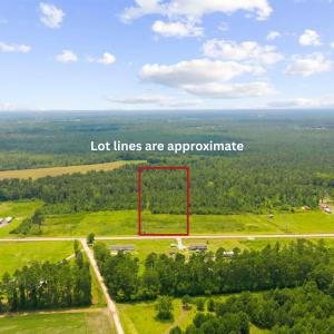 Photo #10 of TBD Highway 19, Loris, SC 3.8 acres