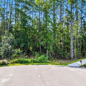 Photo #26 of 200 Joanna Gillard Ln., Georgetown, SC 0.3 acres