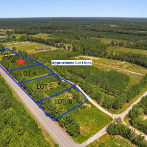 Photo #1 of Piney Grove Church Rd, Gresham, SC 5.0 acres