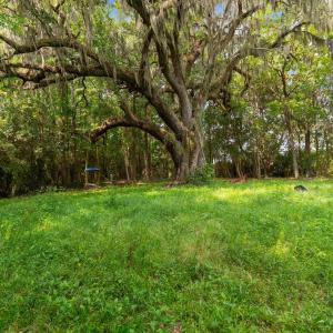 Photo #3 of 6518 Fraser St., Georgetown, SC 24.8 acres