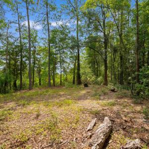 Photo #5 of 6518 Fraser St., Georgetown, SC 24.8 acres