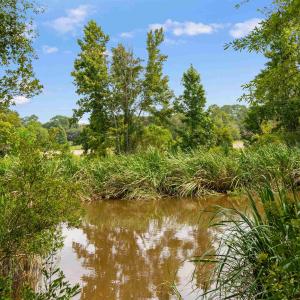 Photo #7 of 6518 Fraser St., Georgetown, SC 24.8 acres