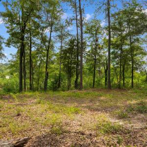 Photo #6 of 6518 Fraser St., Georgetown, SC 24.8 acres