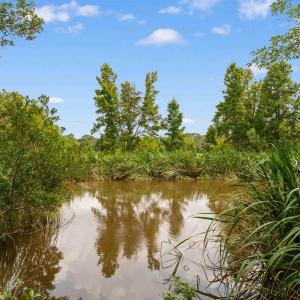 Photo #8 of 6518 Fraser St., Georgetown, SC 24.8 acres