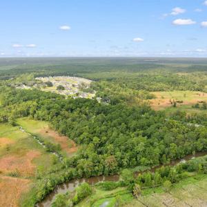Photo #13 of 6518 Fraser St., Georgetown, SC 24.8 acres