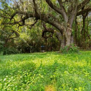 Photo #2 of 6518 Fraser St., Georgetown, SC 24.8 acres