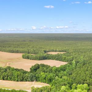 Photo #27 of 155.81 Acres - Roper Woods Rd., Lake City, SC 155.8 acres