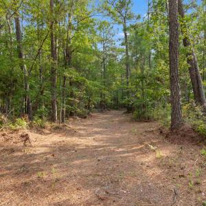 Photo #4 of 155.81 Acres - Roper Woods Rd., Lake City, SC 155.8 acres