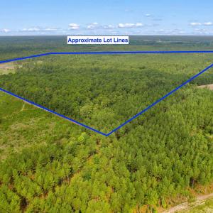 Photo #26 of 155.81 Acres - Roper Woods Rd., Lake City, SC 155.8 acres