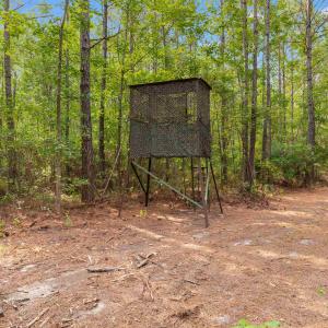 Photo #1 of 155.81 Acres - Roper Woods Rd., Lake City, SC 155.8 acres