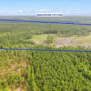 Photo #24 of 155.81 Acres - Roper Woods Rd., Lake City, SC 155.8 acres