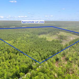 Photo #18 of 155.81 Acres - Roper Woods Rd., Lake City, SC 155.8 acres