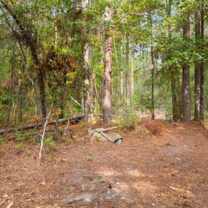 Photo #6 of 155.81 Acres - Roper Woods Rd., Lake City, SC 155.8 acres