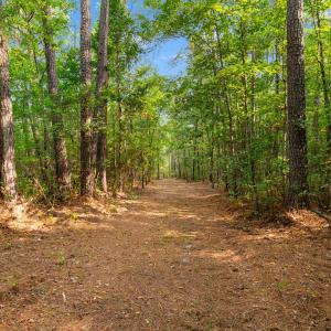 Photo #14 of 155.81 Acres - Roper Woods Rd., Lake City, SC 155.8 acres