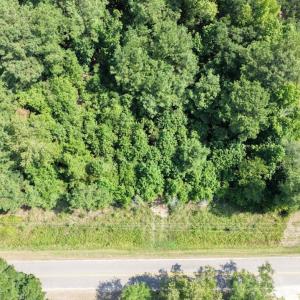 Photo #3 of TBD Right Hand Ct, Georgetown, SC 2.7 acres