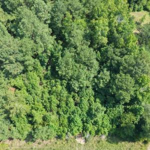Photo #4 of TBD Right Hand Ct, Georgetown, SC 2.7 acres