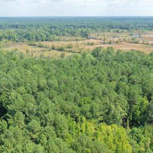 Photo #6 of TBD Right Hand Ct, Georgetown, SC 2.7 acres