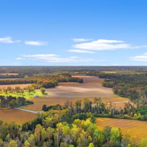 Photo #6 of S-17-22 Arnette Rd., Dillon, SC 287.0 acres