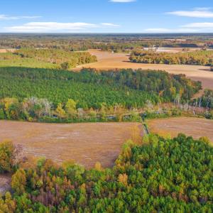 Photo #19 of S-17-22 Arnette Rd., Dillon, SC 287.0 acres