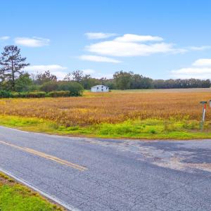 Photo #20 of S-17-22 Arnette Rd., Dillon, SC 287.0 acres