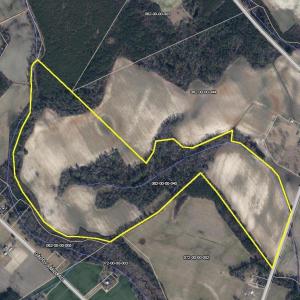Photo #4 of S-17-22 Arnette Rd., Dillon, SC 287.0 acres