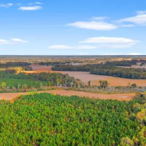 Photo #12 of S-17-22 Arnette Rd., Dillon, SC 287.0 acres