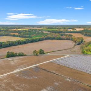 Photo #9 of S-17-22 Arnette Rd., Dillon, SC 287.0 acres