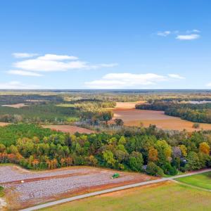 Photo #11 of S-17-22 Arnette Rd., Dillon, SC 287.0 acres