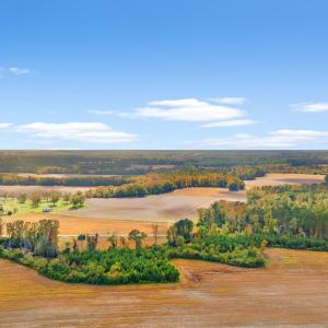 Photo #7 of S-17-22 Arnette Rd., Dillon, SC 287.0 acres