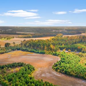Photo #8 of S-17-22 Arnette Rd., Dillon, SC 287.0 acres