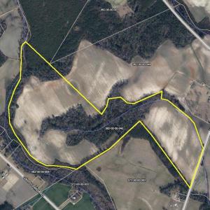 Photo #4 of S-17-22 Arnette Rd., Dillon, SC 287.0 acres
