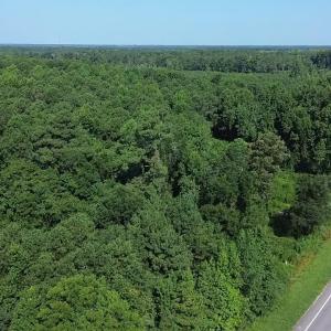 Photo #6 of 2361 Highway 9, Longs, SC 12.4 acres