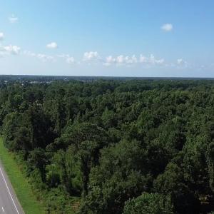 Photo #4 of 2361 Highway 9, Longs, SC 12.4 acres