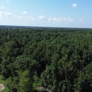 Photo #5 of 2361 Highway 9, Longs, SC 12.4 acres