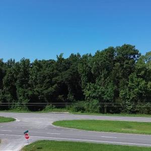 Photo #8 of 2361 Highway 9, Longs, SC 12.4 acres