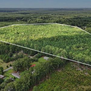 Photo #14 of TBD Rustwood Dr., Georgetown, SC 44.5 acres