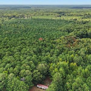 Photo #8 of TBD Rustwood Dr., Georgetown, SC 44.5 acres