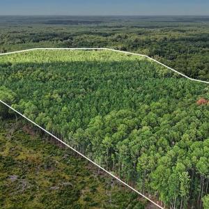 Photo #12 of TBD Rustwood Dr., Georgetown, SC 44.5 acres