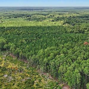 Photo #11 of TBD Rustwood Dr., Georgetown, SC 44.5 acres