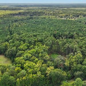 Photo #5 of TBD Rustwood Dr., Georgetown, SC 44.5 acres