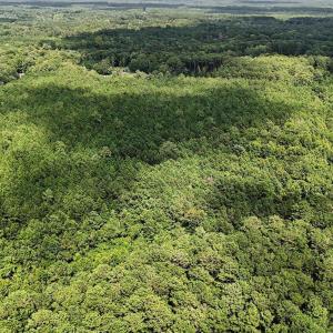 Photo #6 of TBD Rustwood Dr., Georgetown, SC 44.5 acres