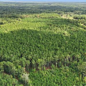 Photo #2 of TBD Rustwood Dr., Georgetown, SC 44.5 acres