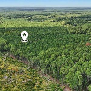 Photo #13 of TBD Rustwood Dr., Georgetown, SC 44.5 acres