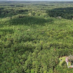 Photo #10 of TBD Rustwood Dr., Georgetown, SC 44.5 acres