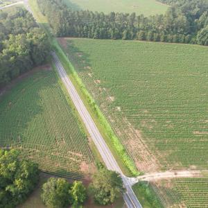 Photo #8 of 81.30 Acres - Blackberry Rd., Johnsonville, SC 81.3 acres