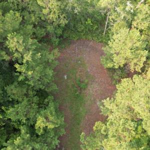 Photo #15 of 81.30 Acres - Blackberry Rd., Johnsonville, SC 81.3 acres